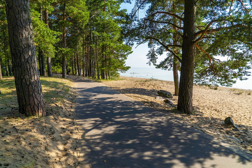 Велодорожка вдоль Финского Залива