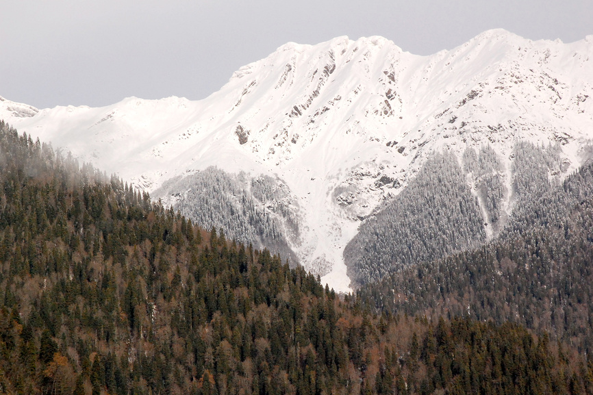 активный отдых в абхазии зимой