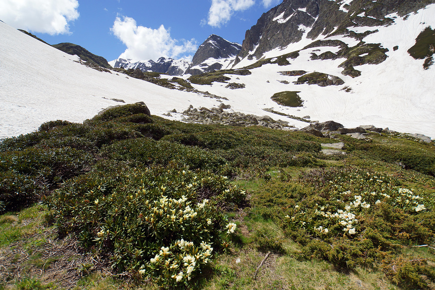 куда поехать активно отдохнуть весной архыз