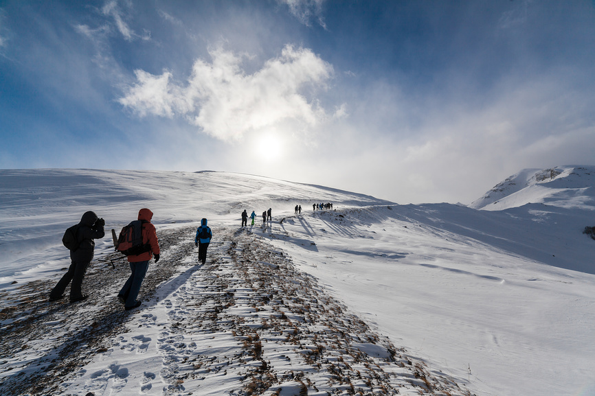 история снежного барса