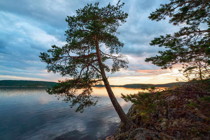 Лучи заходящего солнца в парке Ладожские шхеры