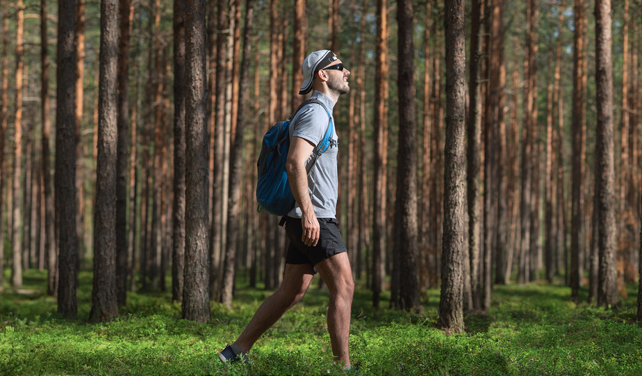 одежда для похода в лес