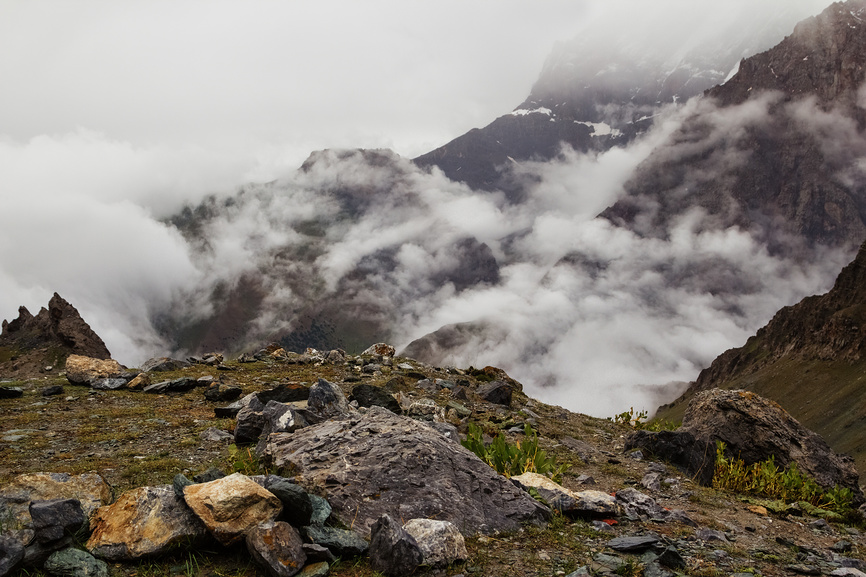 растительность Фанских гор