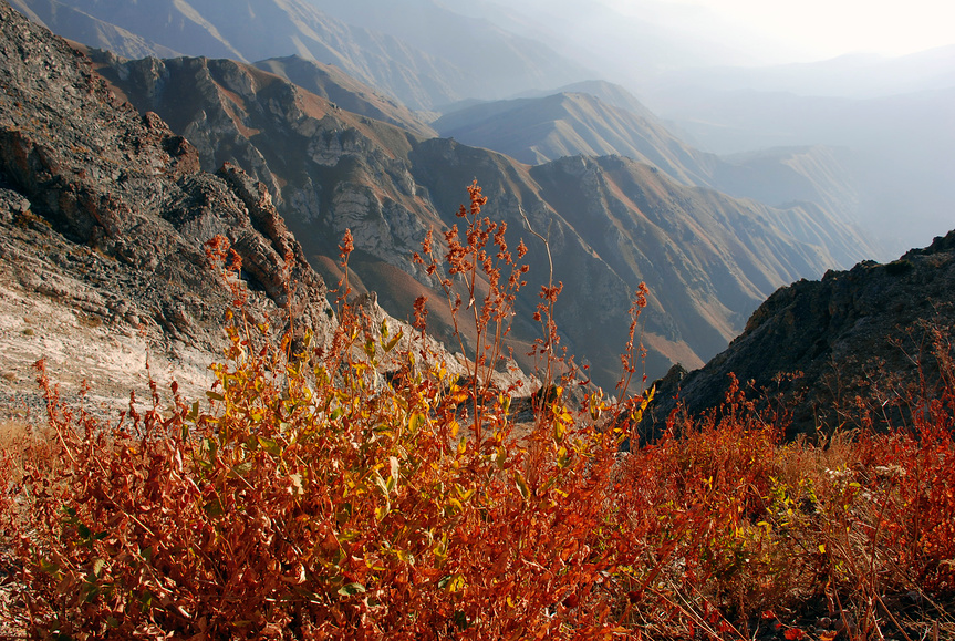 природа Узбекистана