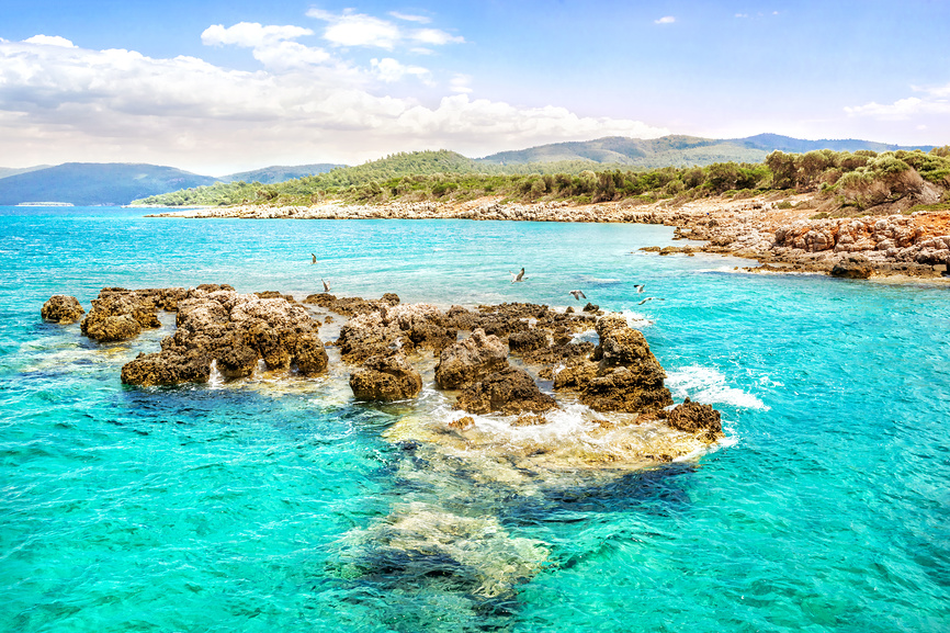 фридайвинг в турции