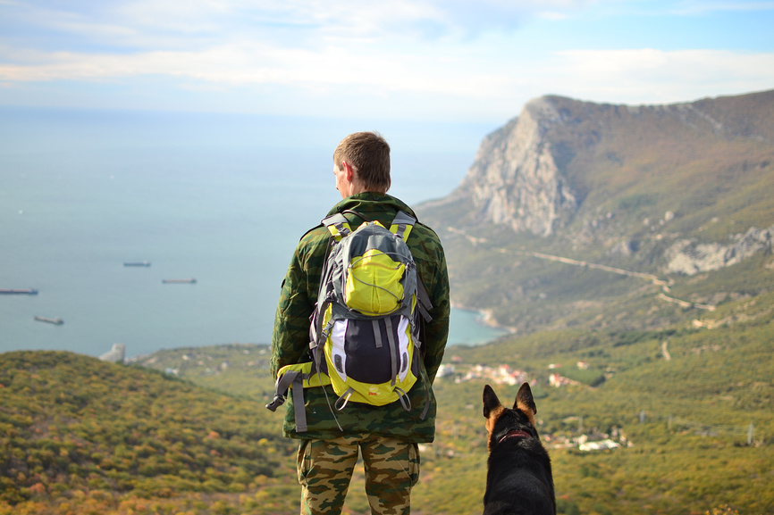 место для путешествия с животным