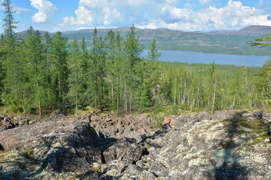 тайга в окрестностях озера Накомякен