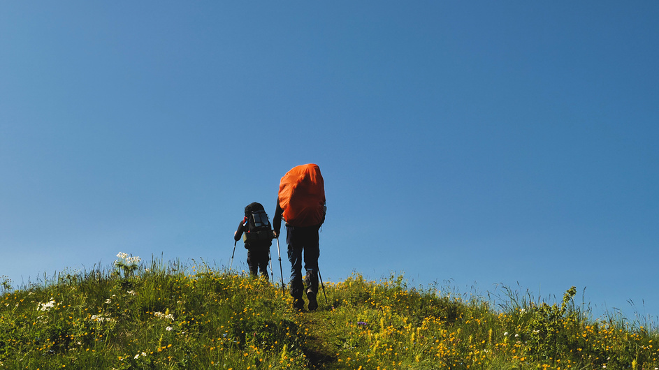 вперед к вершине