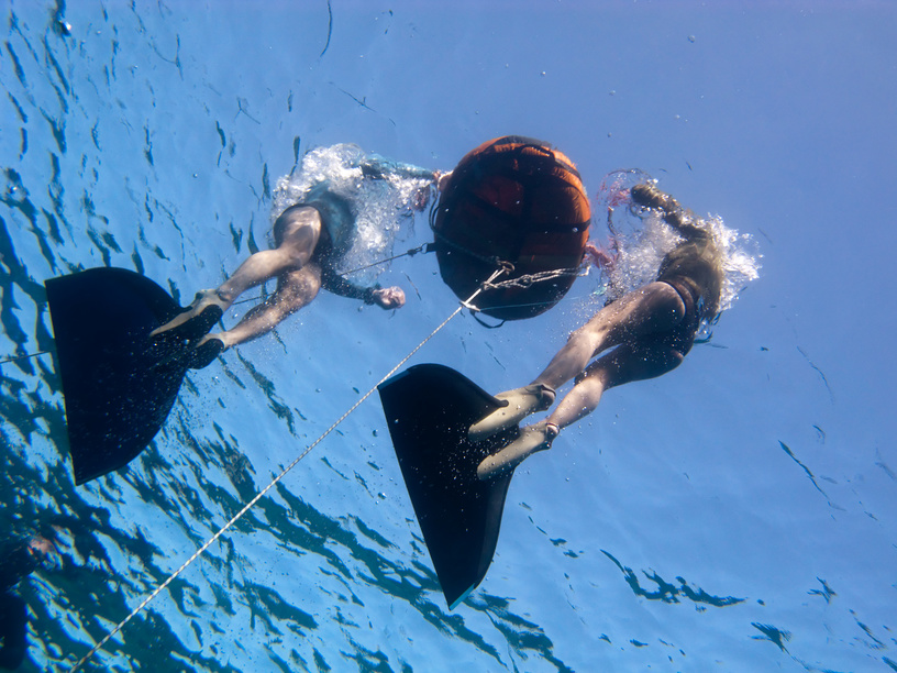 Фридайверы