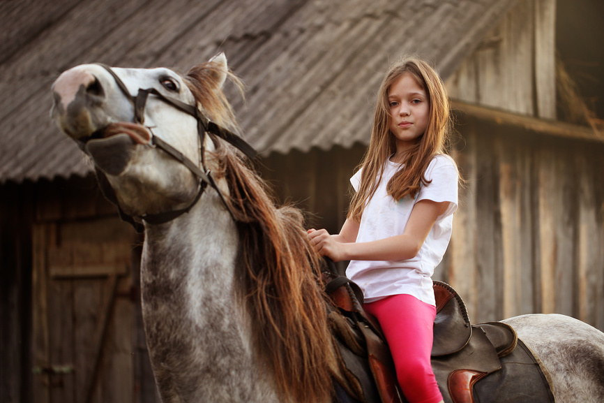 ожидания от конного похода