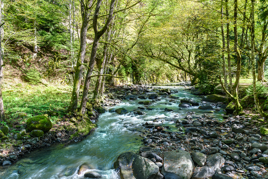 река в боржоми