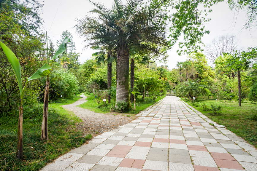 Сухумский ботанический сад