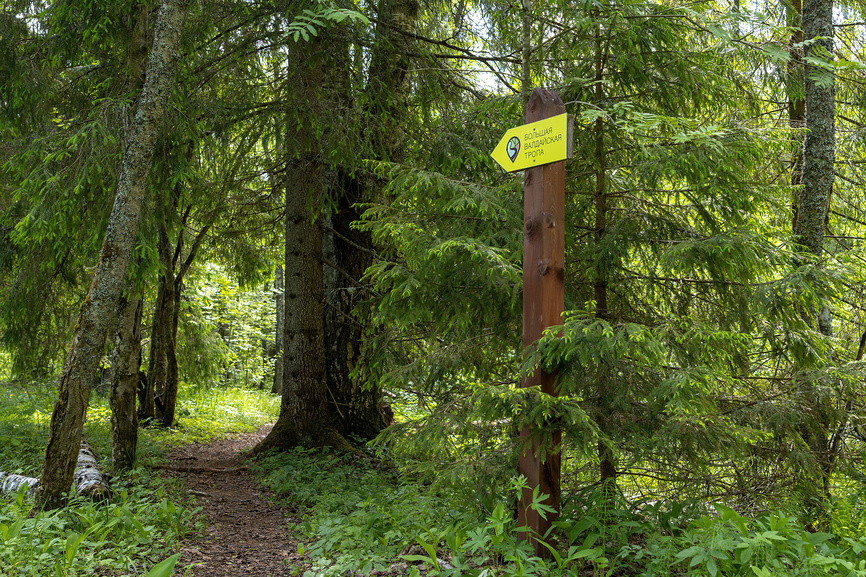Большая Валдайская тропа