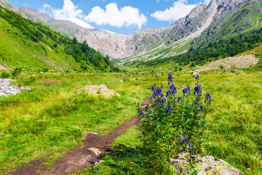 Приэльбрусье