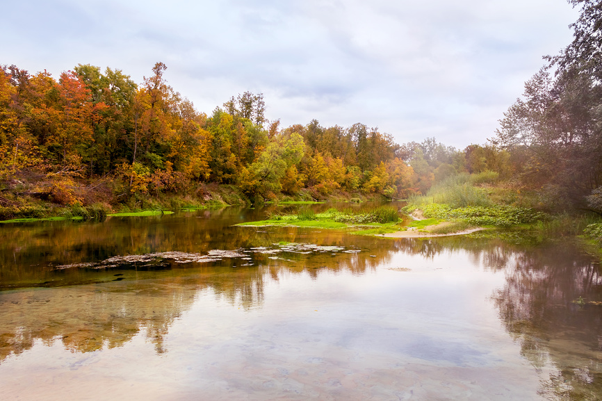 Кленовая гора Марий Эл