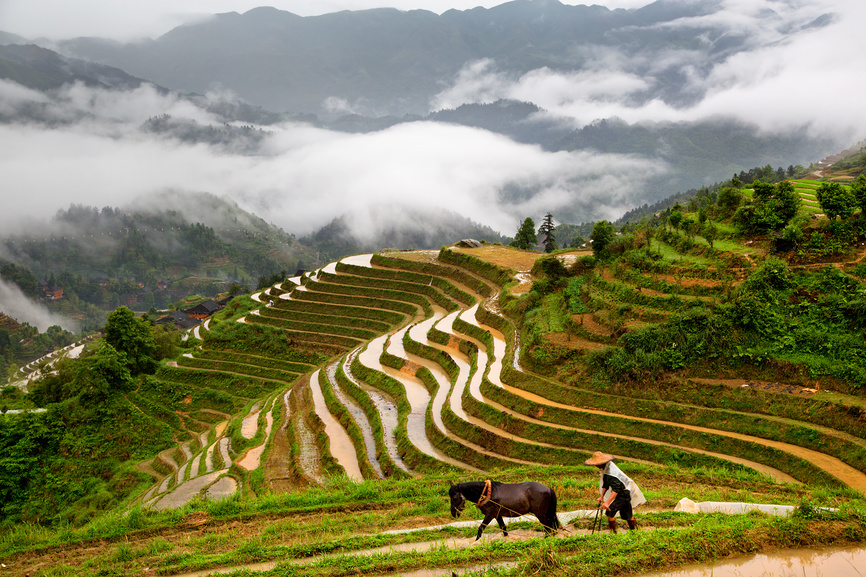 Рисовые террасы гуйлинь
