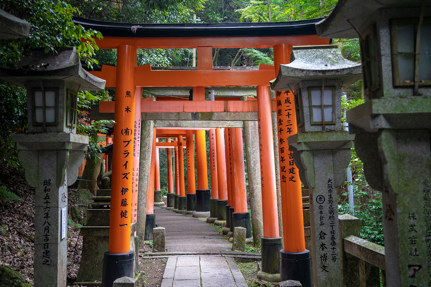 Тории в храме Фусими-Инари-тайся