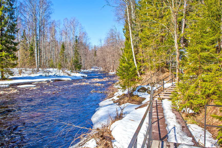 Экотропа вдоль реки Рощинка