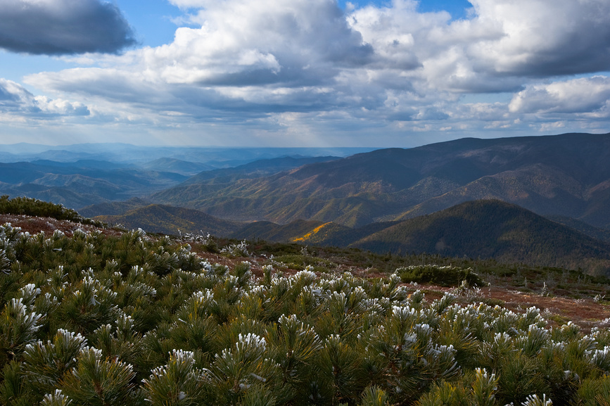 Сихотэ-Алинь