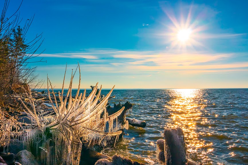 Побережье реки Обь