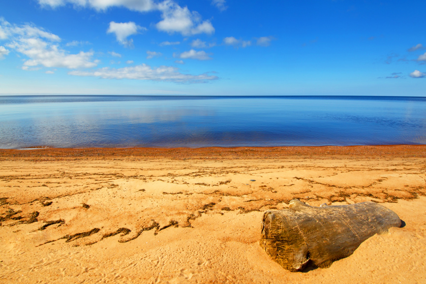 Пляж Ладожского озера