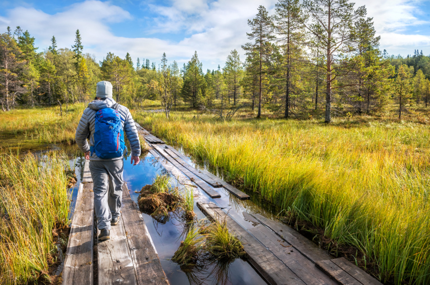 соловки летом