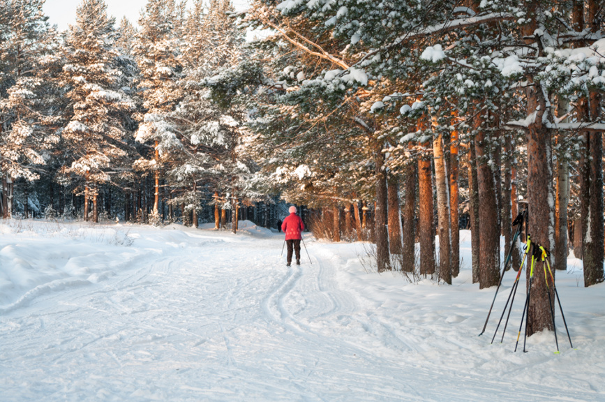 Прогулка на лыжах, Карелия