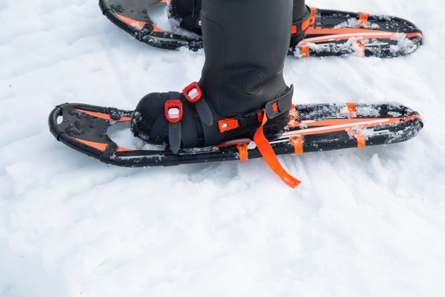 Снегоступы