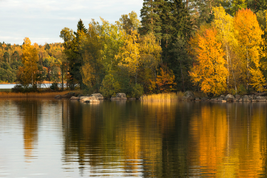 Выборг, парк Монрепо