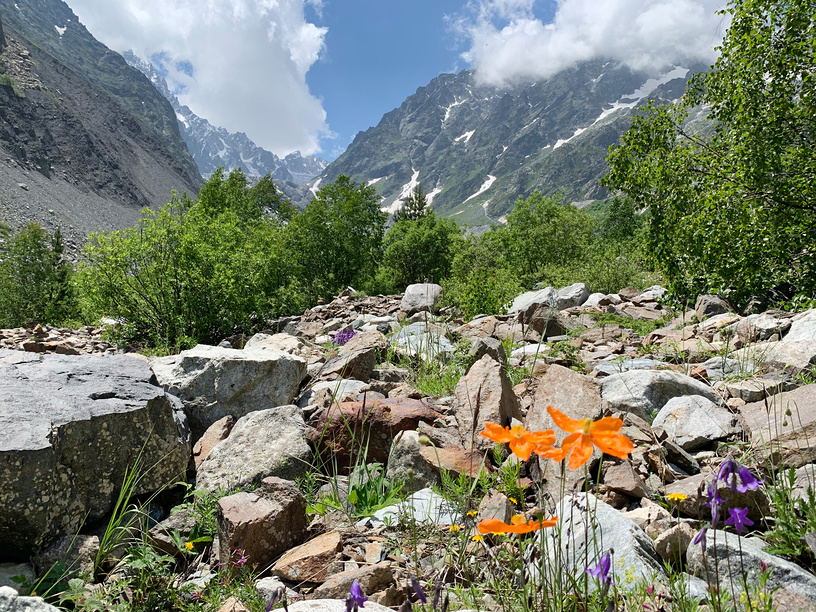 Цейское ущелье