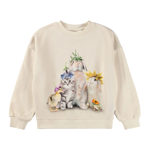 Купить свитшот от MOLO