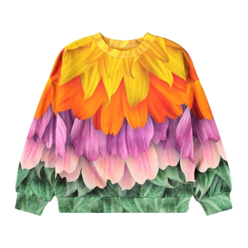 Купить свитшот от MOLO