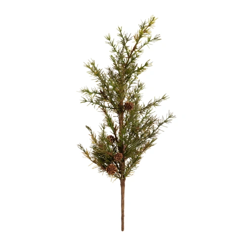 Купить Лиственница с шишками, 60 см от Shishi