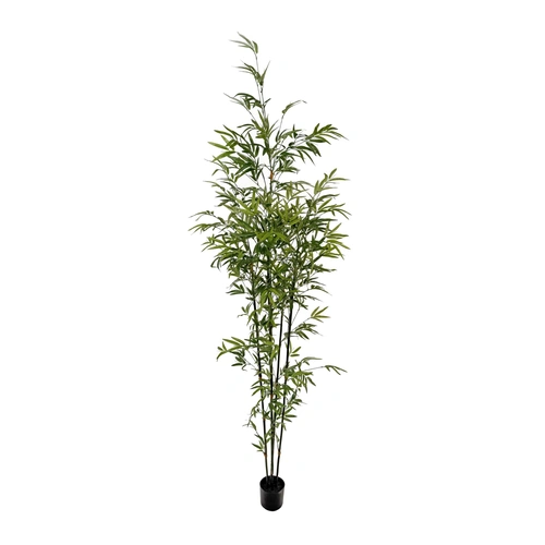 Купить Бамбук зелёный, 210 см от Shishi