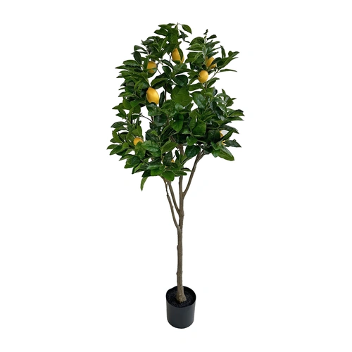 Купить Лимонное дерево, 180 см от Shishi