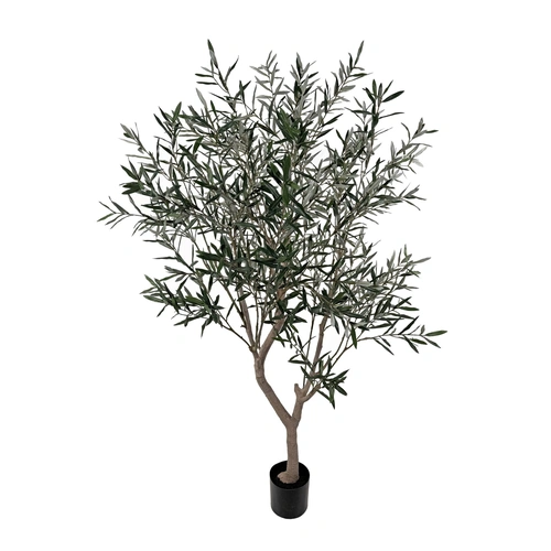 Купить Оливковое дерево, 210 см от Shishi