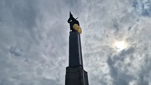 Обращение соотечественников к родным Владимира Располыхина, Вена, 13 сентября 2026 года
