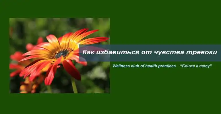 Как избавиться от тревоги. Травы в помощь