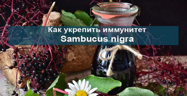 Не лимоном единым…