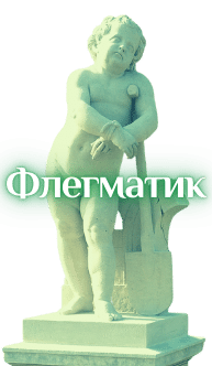 Флегматик мужчина