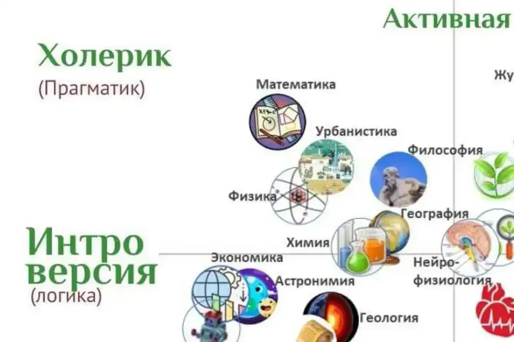 Careers for the choleric