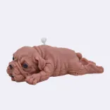 Dekokerze "Süßer Hund", braun — Vorschau 2