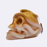 Dekokerze "Totekopf mit Schlange ", gold — Vorschau 2