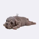 Dekokerze "Süßer Hund", braun — Vorschau 1