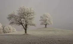 8 questions about autumn-winter depression