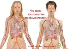Что такое психосоматика простыми словами: история, причины, примеры