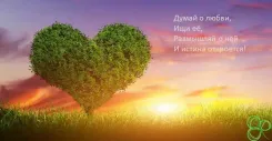 Reflections on love. How do we love and accept love the right way?