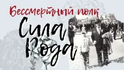 The power of the family line, or how the Immortal Regiment helps the psyche
