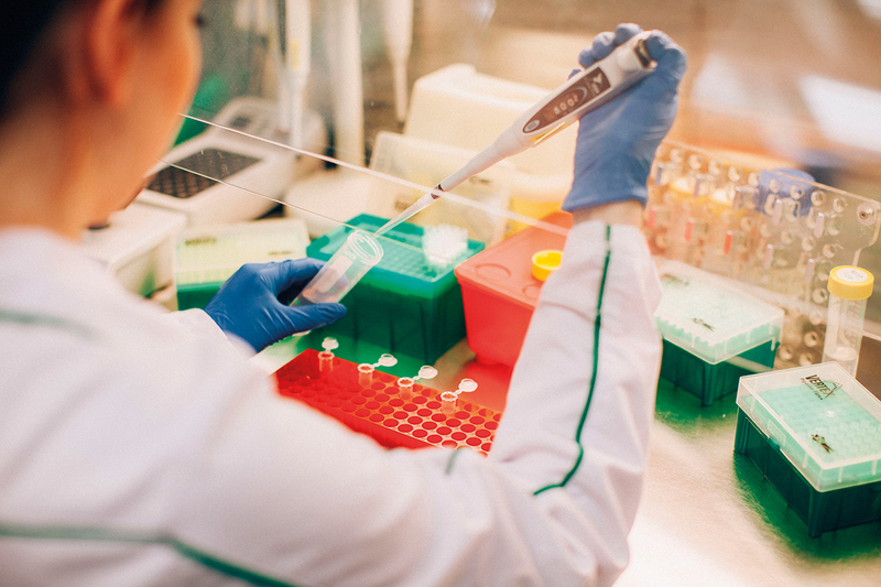 ДНК: обратный инжиниринг