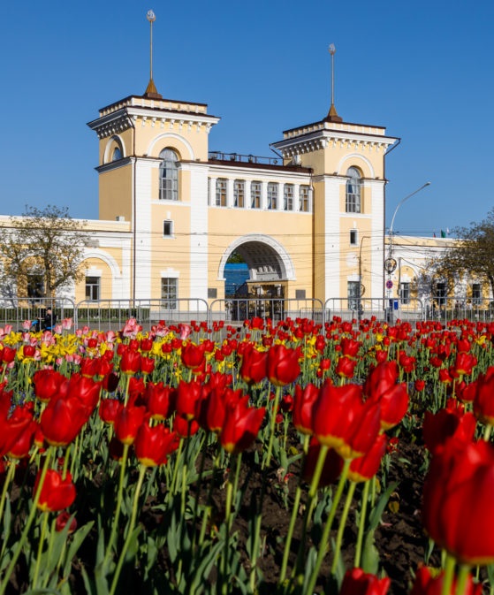 Ставроп. край